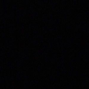 Meet your Posher, Riley